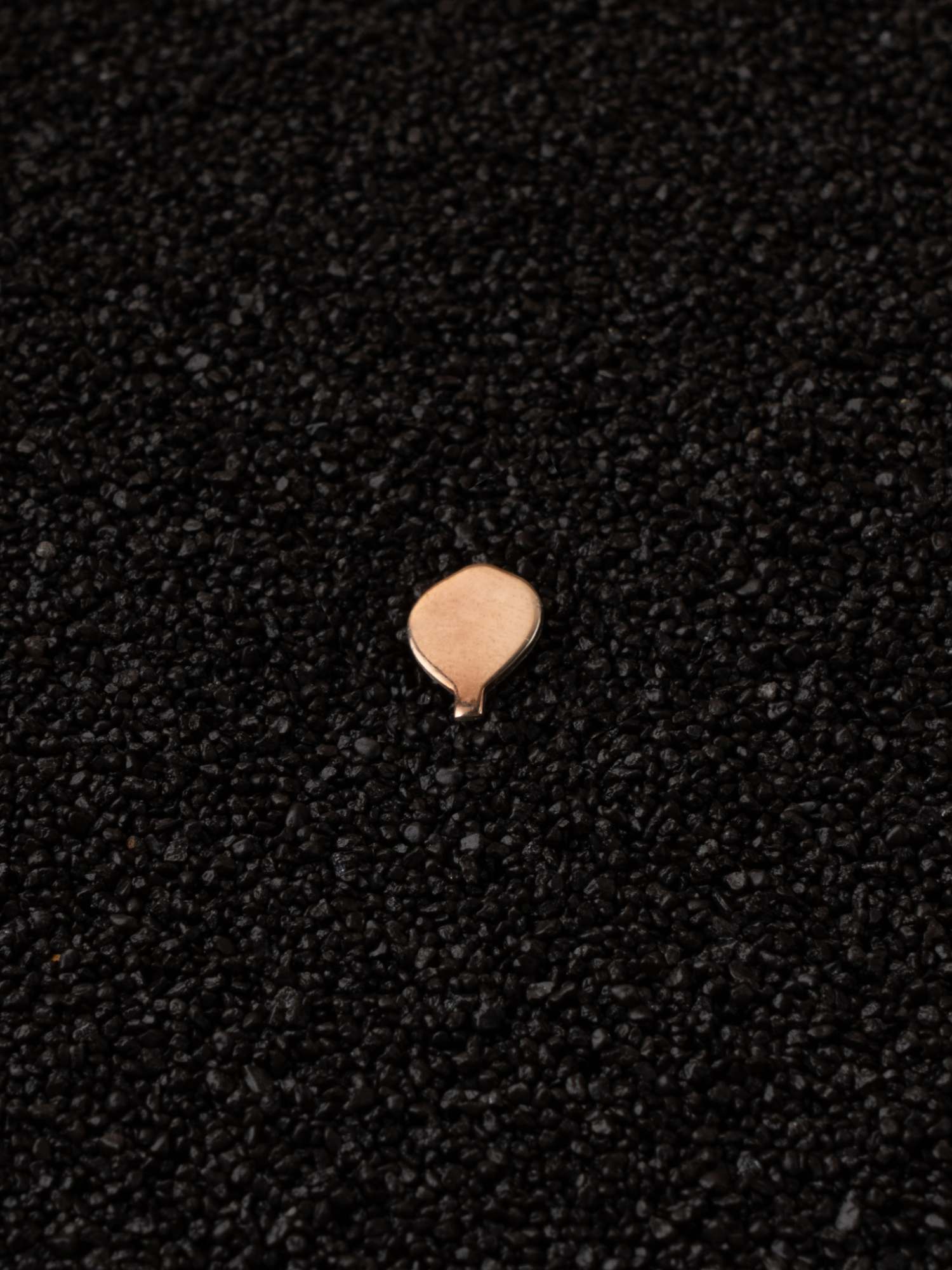 Hot Air Ballon Ride gold pin