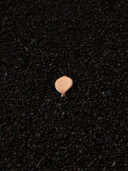 Hot Air Ballon Ride gold pin